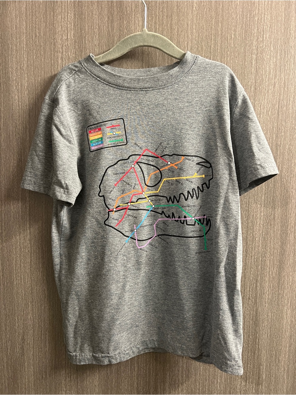 Cat & Jack T Shirt Dinosaur Youth Boys Size Small 6/7